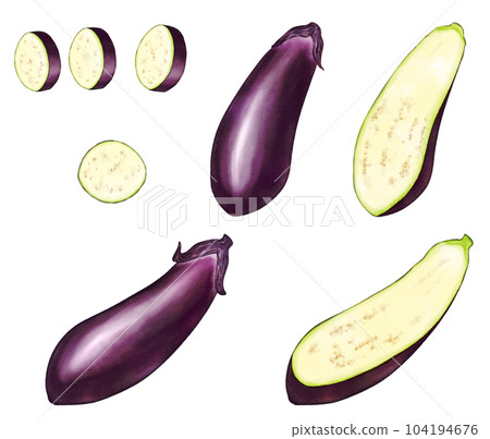 Set of eggplant in analog watercolor style 104194676