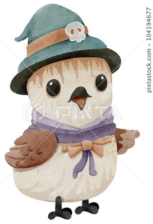 ghost bird witch bird 104194677