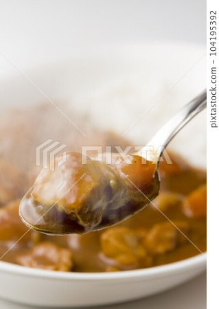 Pork curry Pork curry 104195392