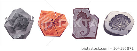Fossil animal archaeology stone vector icon set 104195871