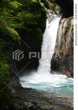 "Ogama no Taki" fresh green 3 (Naga Town, Naka District, Tokushima Prefecture) 104195942
