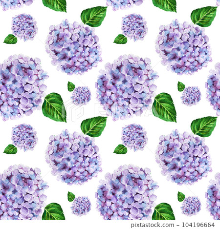 hydrangea flower watercolor patern .Watercolor illustration hydr 104196664