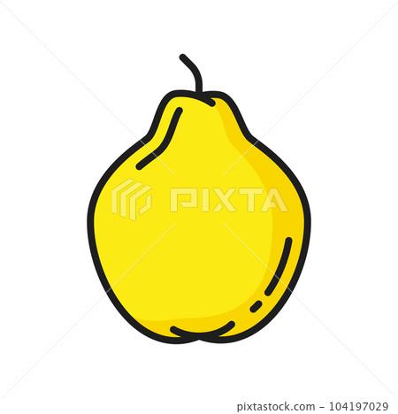Yellow guava or pear isolated color line icon. Vector exotic food dessert, tropical fruit. Lemon guava, summer healthy snack. Ripe garden or forest pear Yellow guava or pear isolated color line icon. Vector exotic food dessert, tropical fruit. Lemon guava, summer healthy snack. Ripe garden or forest pear 104197029
