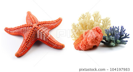 Set with sea creatures, isolated on white background. Collection of ocean inhabitants. Marine life. Undersea, underwater wildlife. Sea star and corals. Generative AI. Set with sea creatures, isolated on white background. Collection of ocean inhabitants. Marine life. Undersea, underwater wildlife. Sea star and corals. Generative AI. 104197983