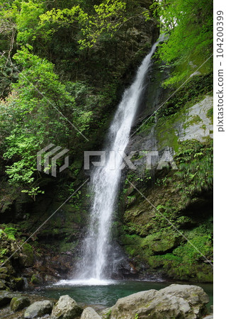 Biwa Falls in Iya, Tokushima Prefecture Biwa Falls in Iya, Tokushima Prefecture 104200399