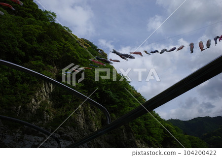 大步危峽空中飄揚的鯉魚旗 大步危峽空中飄揚的鯉魚旗 104200422
