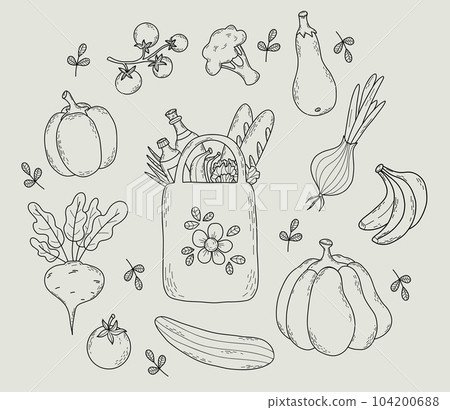 Eco bag with food and collection vegetables. Isolated vector outline drawings paper bag, beetroot, tomato, cucumber, eggplant, cauliflower, pumpkin and pepper. Eco bag with food and collection vegetables. Isolated vector outline drawings paper bag, beetroot, tomato, cucumber, eggplant, cauliflower, pumpkin and pepper. 104200688