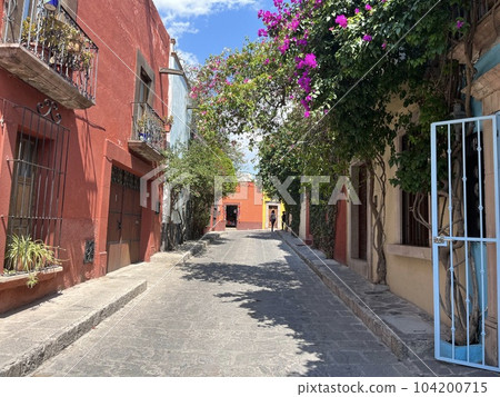 San Miguel de Allende, Guanajuato, Mexico 104200715