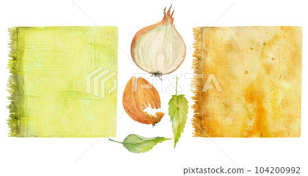 Hand drawn watercolor nettle, onion coloring natural plant dye, materials. Hobby, handmade fabric. Illustration isolated composition, white background. Shop logo, print, website, business card booklet Hand drawn watercolor nettle, onion coloring natural plant dye, materials. Hobby, handmade fabric. Illustration isolated composition, white background. Shop logo, print, website, business card booklet 104200992