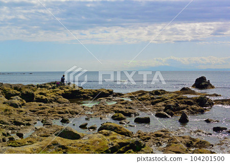 岸邊釣魚的寧靜風景 岸邊釣魚的寧靜風景 104201500