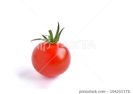 Tree ripe cherry tomatoes 104201578