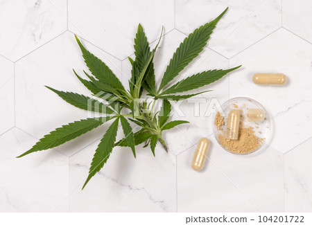 Capsules with hemp protein powder near green cannabis leaves. Alternative medicine Capsules with hemp protein powder near green cannabis leaves. Alternative medicine 104201722