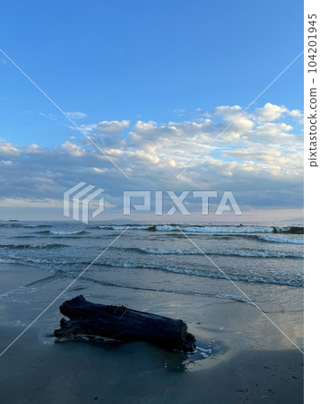 鎌倉的海天雲景、浮木海浪風景、浮木海濱風景、夕陽下的海洋風景 鎌倉的海天雲景、浮木海浪風景、浮木海濱風景、夕陽下的海洋風景 104201945