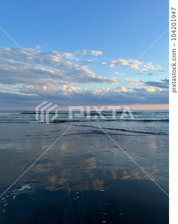 Scenery of the sea, sky and clouds in Kamakura, scenery of driftwood and waves, beachside scenery with driftwood, glowing ocean scenery at dusk 104201947