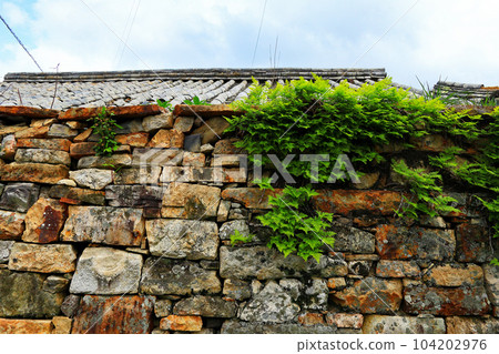 Stone enclosure wall in Tsushima city Stone enclosure wall in Tsushima city 104202976