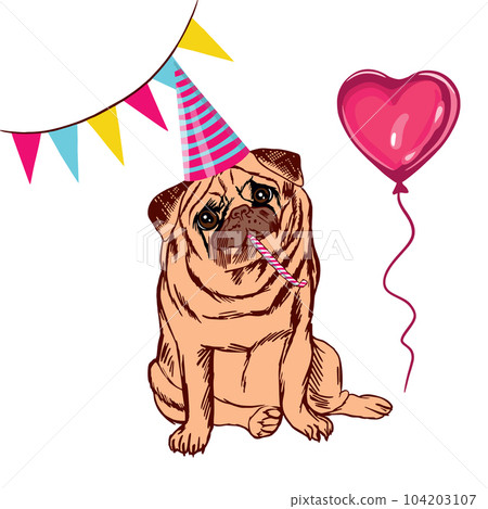 Pug with birthday outlet hat