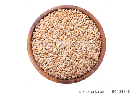 Bowl of barley grains isolated on white background 104203808