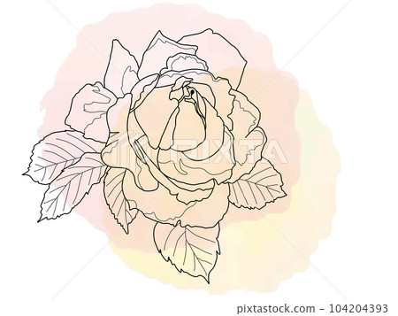 Pastel background and rose flower 9 104204393