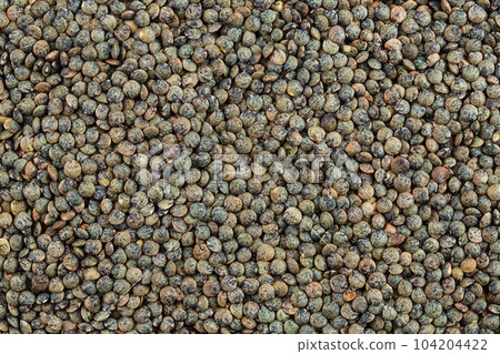 raw french green lentils as a background. Top view. Flat lay raw french green lentils as a background. Top view. Flat lay 104204422
