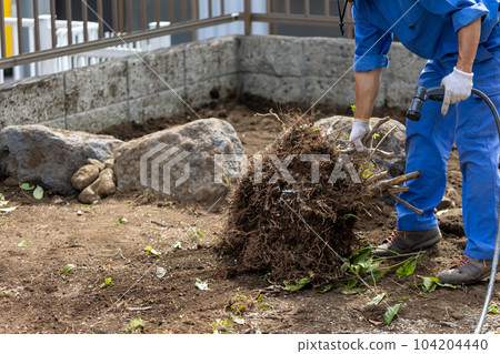 felling garden trees felling garden trees 104204440