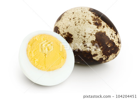 boiled quail egg isolated on white background with full depth of field 104204451