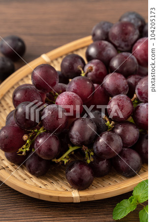 Grape fruit fresh ぶどう Grape fruit fresh ぶどう 104205173