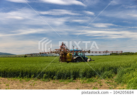 Tractor spraying oat field Tractor spraying oat field 104205684
