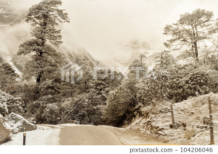 Light brown color winter landscape. Mountain Road forest covering snow. 104206046