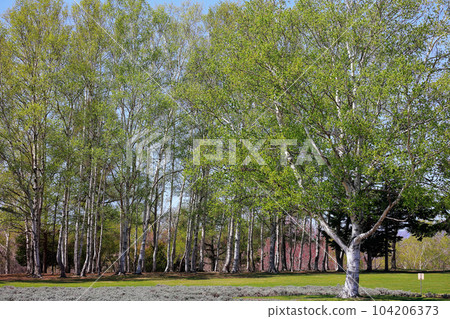 Yanagaoka Observatory 104206373