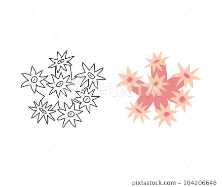 Color and black-and-white linear image of the solar coral. Marine or aquarium animal. Vector illustration icon in a flat and doodle style. 104206646