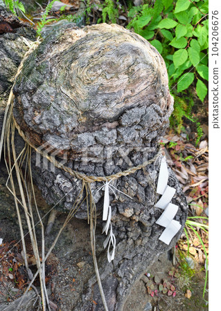 摺紙稻荷神社 稻荷大人的天才大腦(京都市山科區) 摺紙稻荷神社 稻荷大人的天才大腦(京都市山科區) 104206676