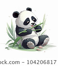Panda to eat bamboo grass 104206817