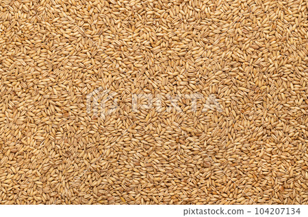 Hulled oats, dried and husked common oat grains, from above. Avena sativa, a cereal grain, suitable for human consumption as oatmeal or rolled oats, most used as livestock feed. Background food photo. 104207134