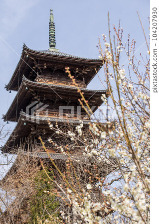 White plum and five-storied pagoda White plum and five-storied pagoda 104207930