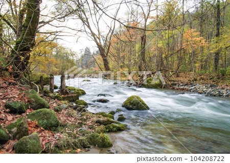 Oirase stream 104208722