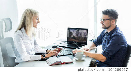 Business meeting. Client consulting. Confident business woman, real estate agent, financial advisor explaining details of project or financial product to client in office 104209957