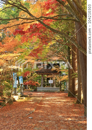 觀音寺 7 觀音寺 7 104210303