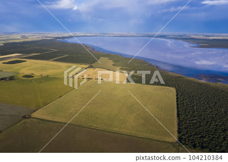Wheat field ready to harvest, in the Pampas plain, La Pampa, Argentina. Wheat field ready to harvest, in the Pampas plain, La Pampa, Argentina. 104210384