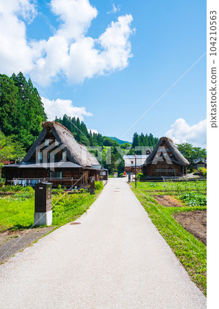 Gokayama / Ainokura Gassho-zukuri Village (Summer) 104210563