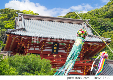 Kamakura City, Kanagawa Prefecture Tsurugaoka Hachimangu during the Tanabata season 104211420