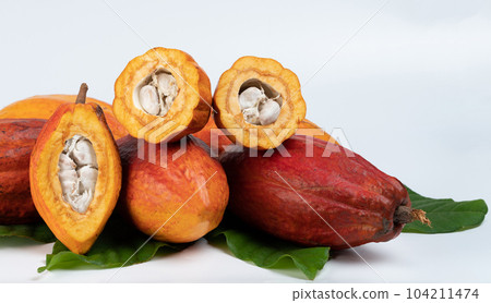 Sliced cacao orange pods Sliced cacao orange pods 104211474