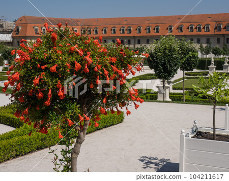 the city of Bartislava in Slovakia the city of Bartislava in Slovakia 104211617