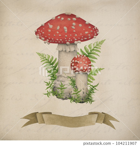 Fly agaric forest mushroom with green moss, fern vintage style decor. Watercolor illustration. Hand drawn fungi amanita muscaria vintage style decoration. Fly agaric mushroom group with forest herbs Fly agaric forest mushroom with green moss, fern vintage style decor. Watercolor illustration. Hand drawn fungi amanita muscaria vintage style decoration. Fly agaric mushroom group with forest herbs 104211907