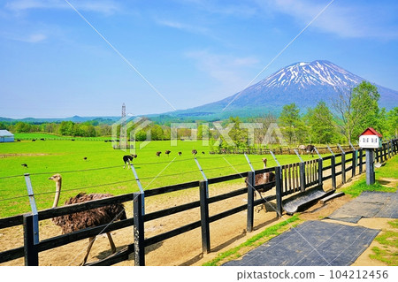 新雪谷第二有島鴕鳥牧場 新雪谷第二有島鴕鳥牧場 104212456