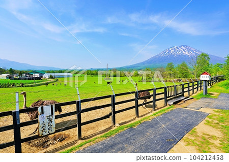 Niseko Second Arishima Ostrich Ranch Niseko Second Arishima Ostrich Ranch 104212458