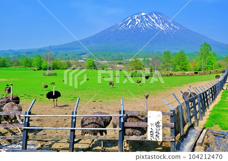 新雪谷第二有島鴕鳥牧場 104212470