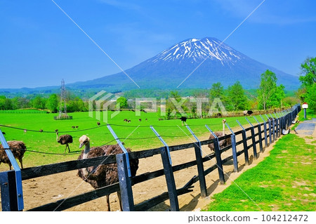 Niseko Second Arishima Ostrich Ranch 104212472