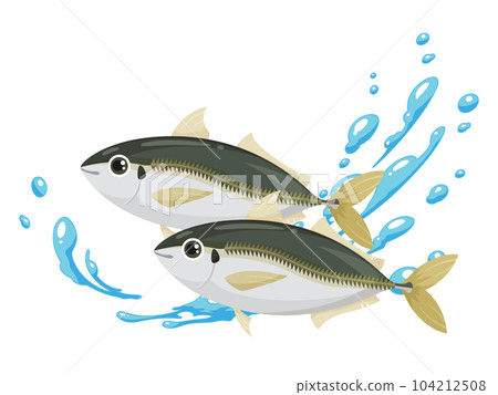 可愛的竹莢魚和水效果的插圖 104212508