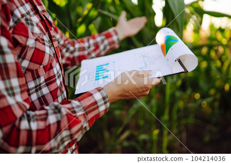 Owner of farm, standing in cornfield, inspects crop. Farmer is watching growth of crop with tablet. 104214036