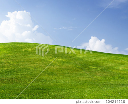 Landscape with green grass field under a blue sky Landscape with green grass field under a blue sky 104214218